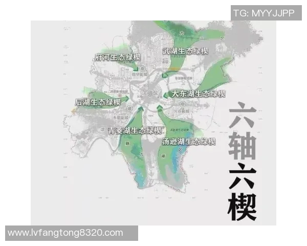 武汉篮球队灵活性分析:战术调整与球员适应能力的深度探讨