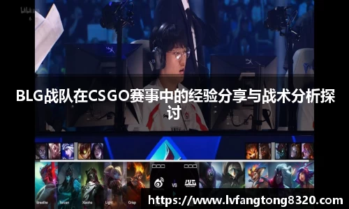 3377体育官网