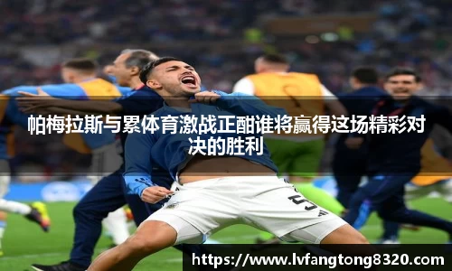 3377体育官网