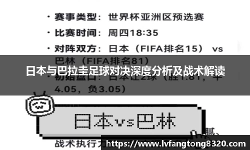 3377体育