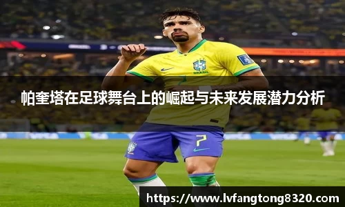 3377体育官网