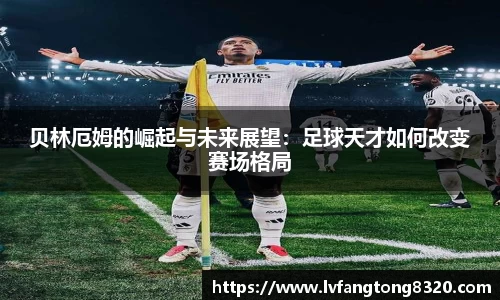 3377体育官网